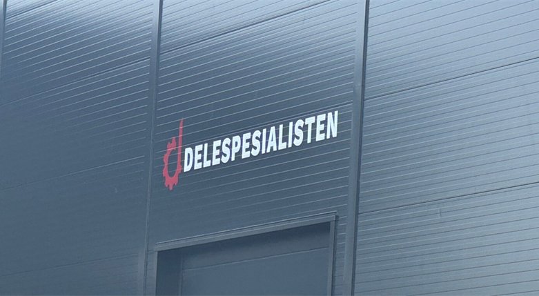 delespesialisten3